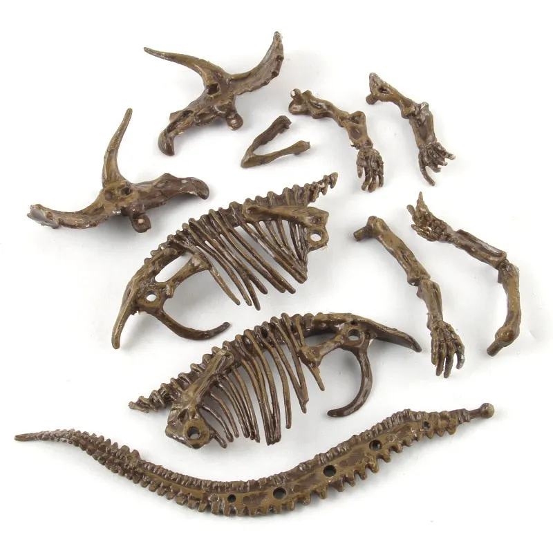 3D Dinosaur Fossil Excavation Kits Education Archeology Exquisite Toy Set Game Action Children Figure Skeleton Model
