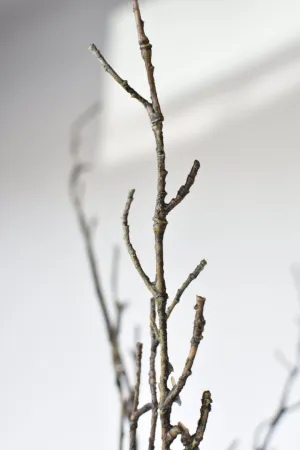 40" Faux Dark Brown Twig Branch Stem