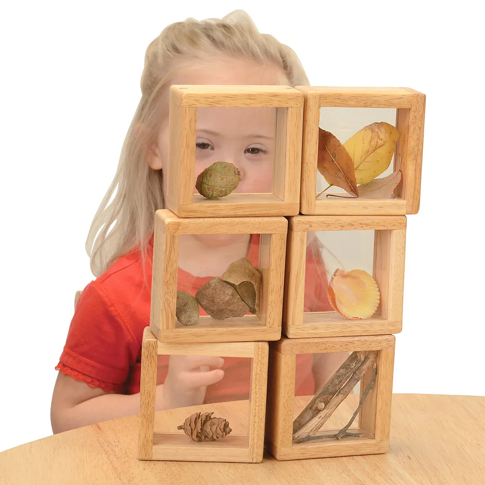 8-Piece Discovery Windows | Fill & Learn Wooden Blocks