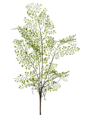 Adianthum Artificial Plant Premium Faux 55cm Height