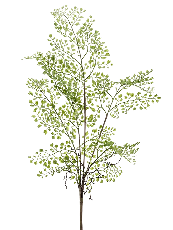 Adianthum Artificial Plant Premium Faux 55cm Height