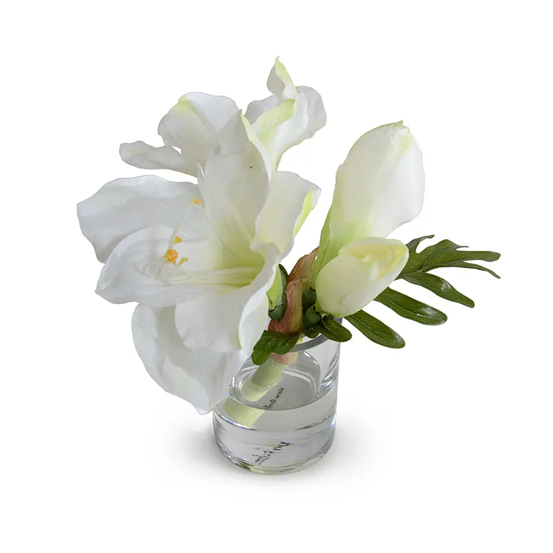 Amaryllis Cutting 9"H