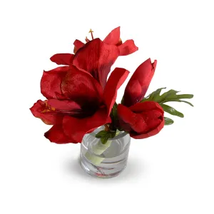 Amaryllis Cutting 9"H