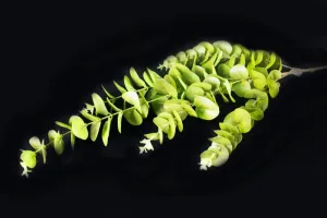 Artificial greenery realistic 100cm