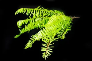 Artificial greenery realistic 42cm