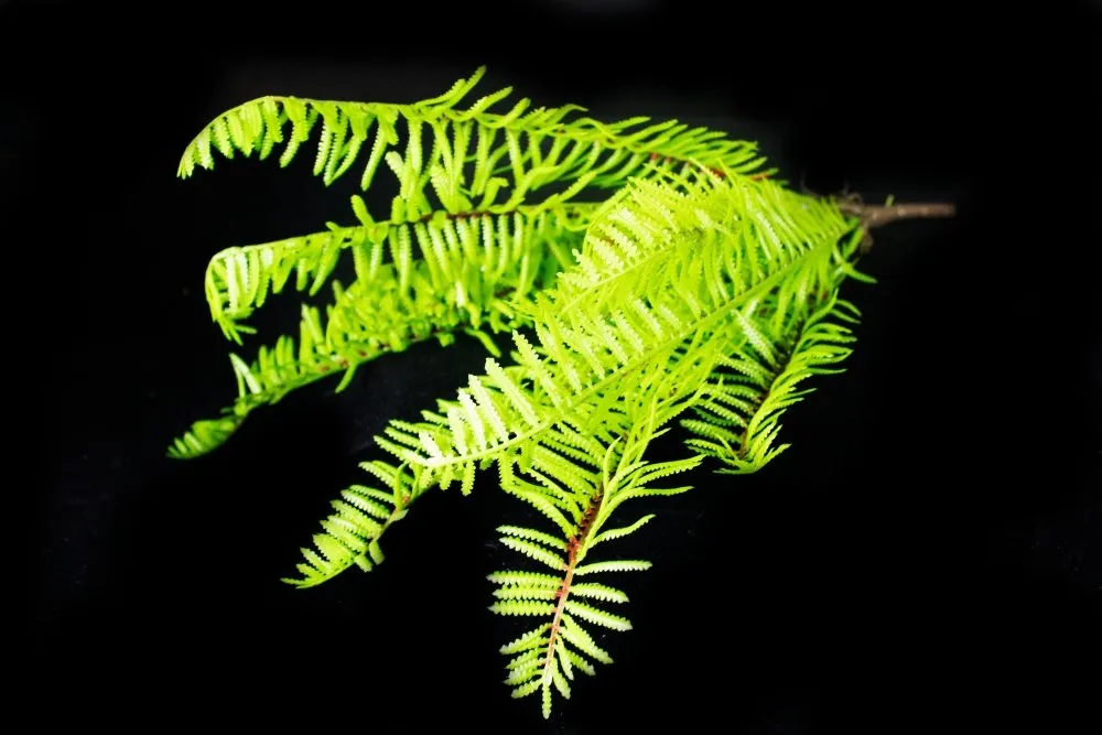 Artificial greenery realistic 42cm