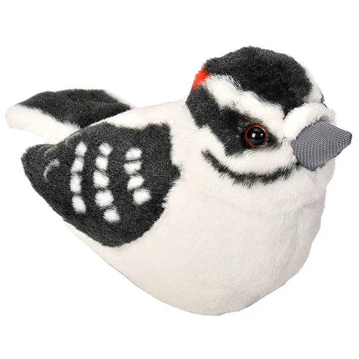 Audubon Downy Woodpecker