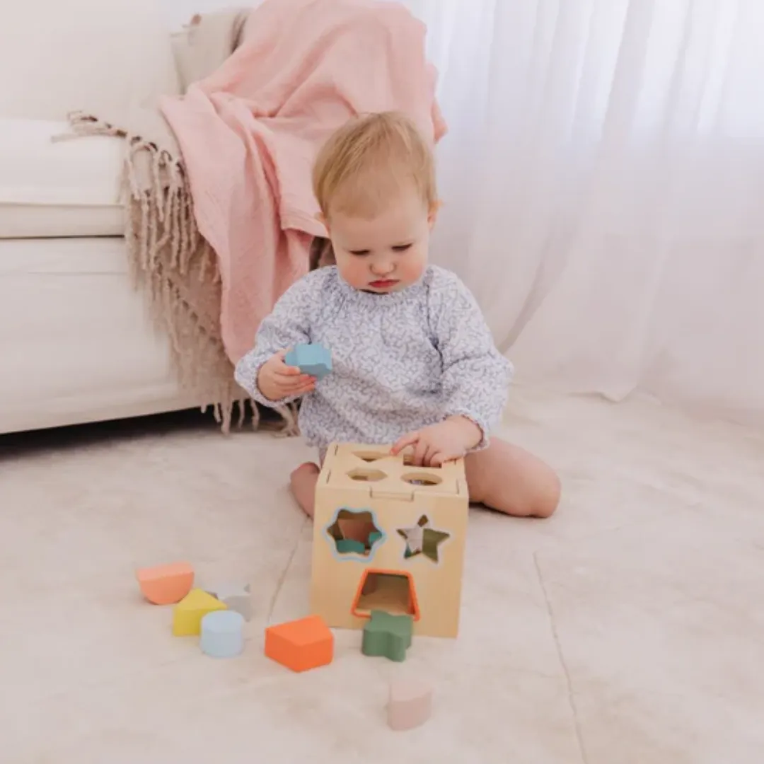 Bubble Wooden Shape Sorting Cube