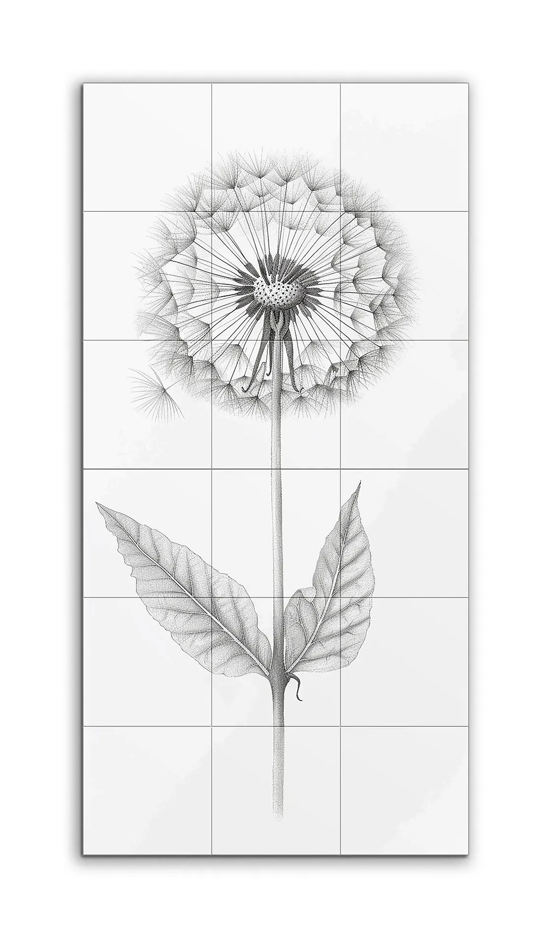 Dandelion Dreams: Monochrome Botanical Art