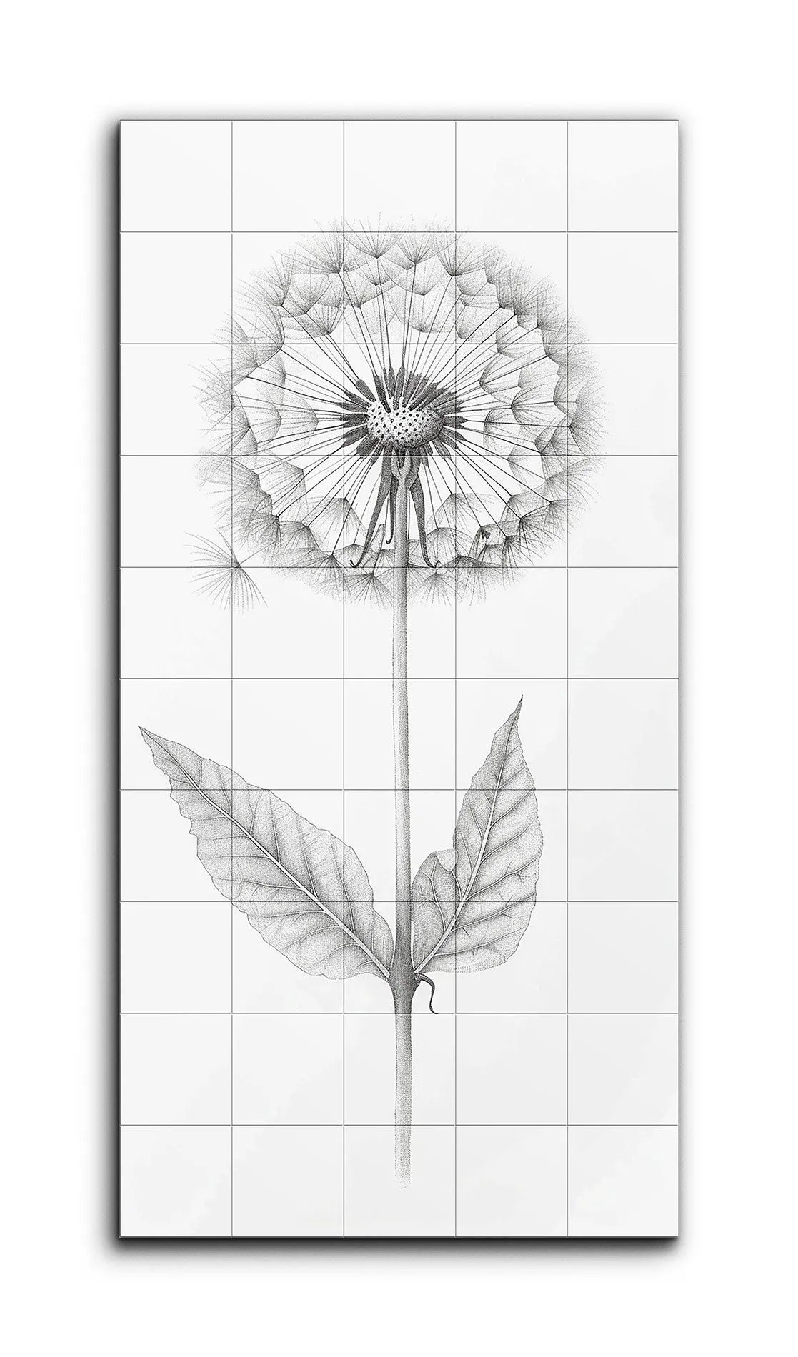 Dandelion Dreams: Monochrome Botanical Art
