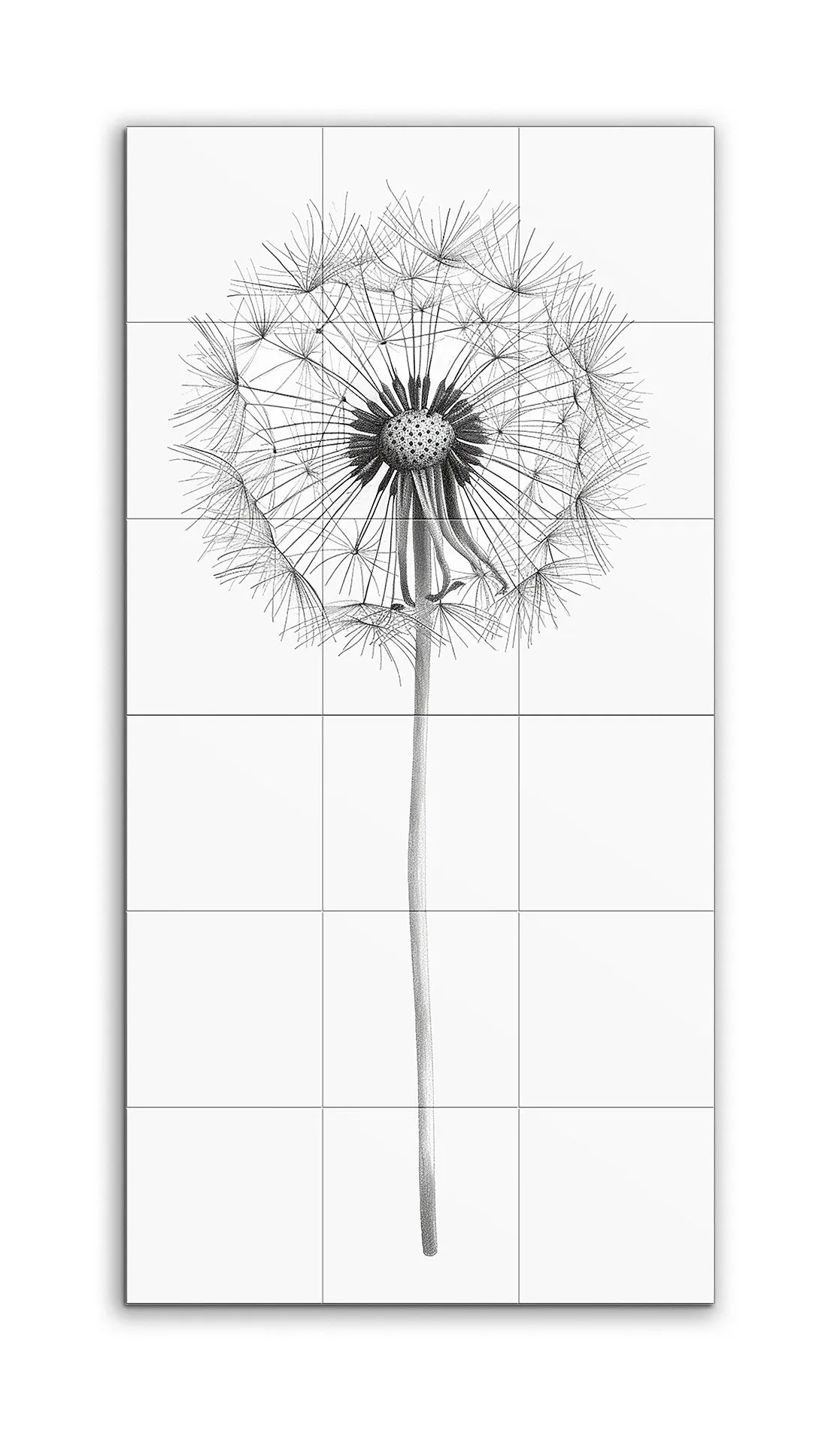 Dandelion Elegance: Black and White Art