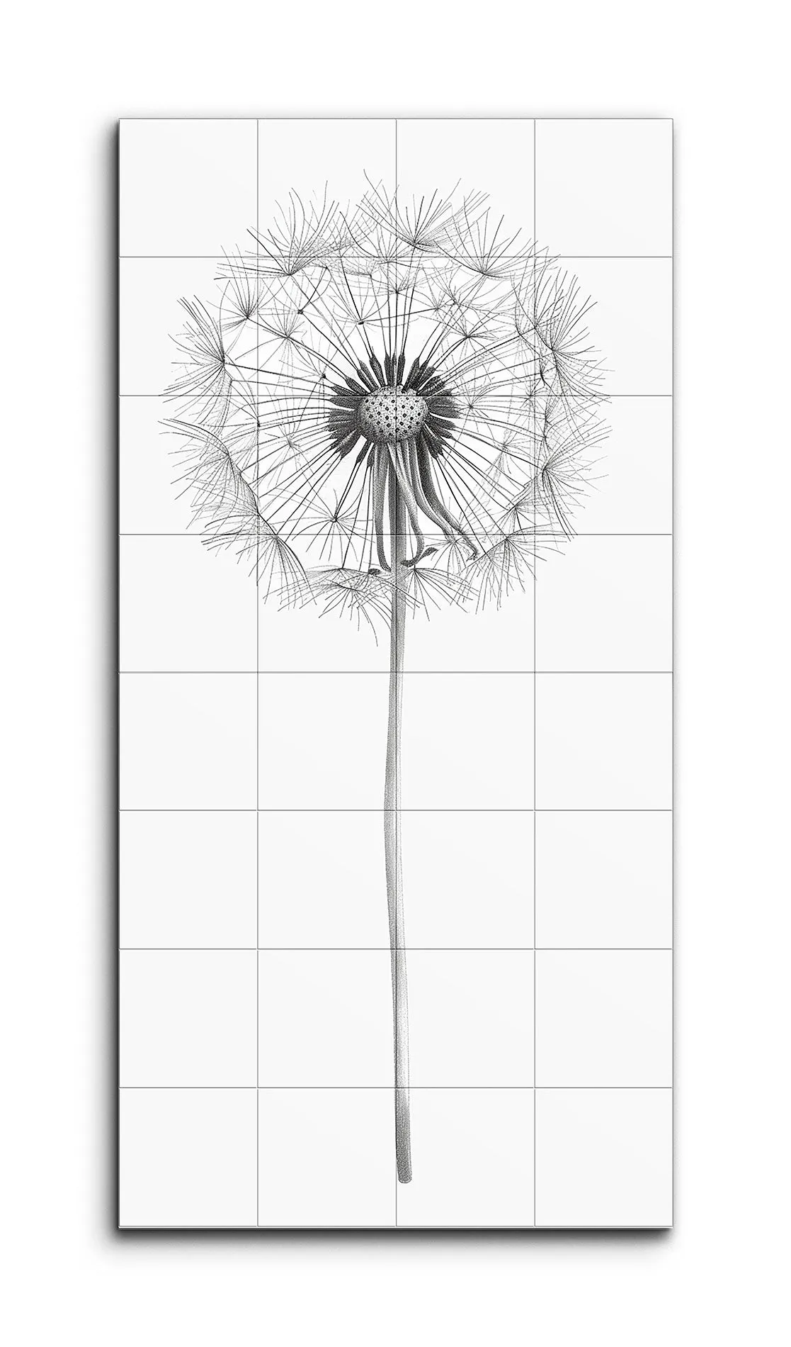Dandelion Elegance: Black and White Art