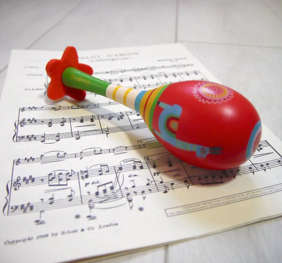 Djeco Animaba Maraca