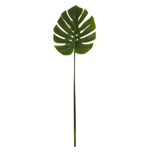 Fiori Green Stem Monstera Palm - 109cm