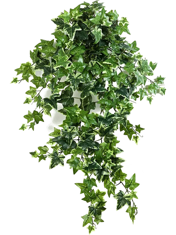Ivy Artificial Plant Premium Faux 70cm Height