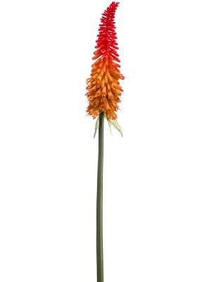 Kniphofia Artificial Plant Premium Faux 70cm Height