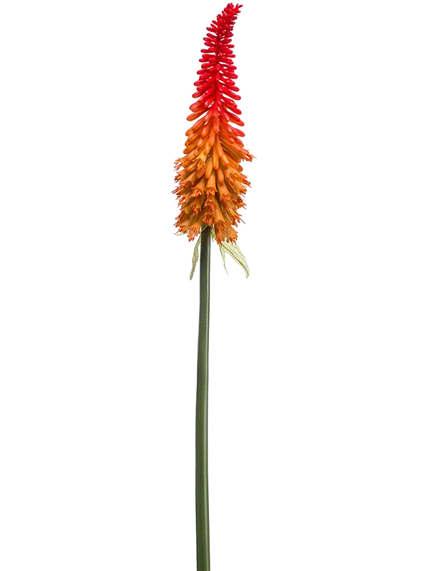 Kniphofia Artificial Plant Premium Faux 70cm Height