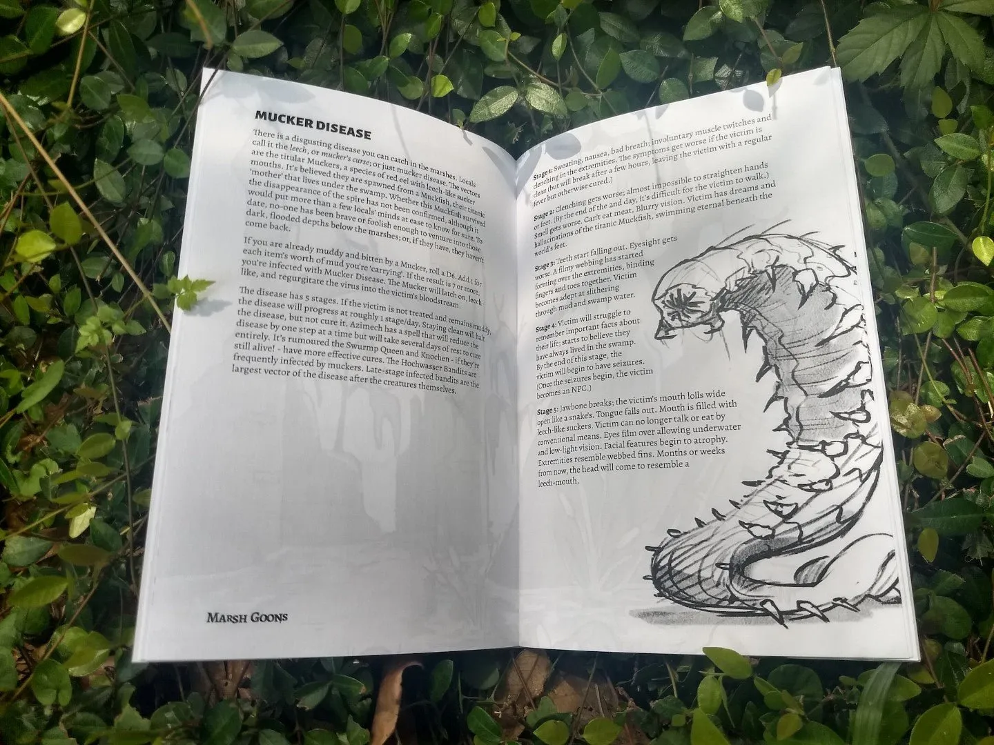 Marsh Goons   PDF