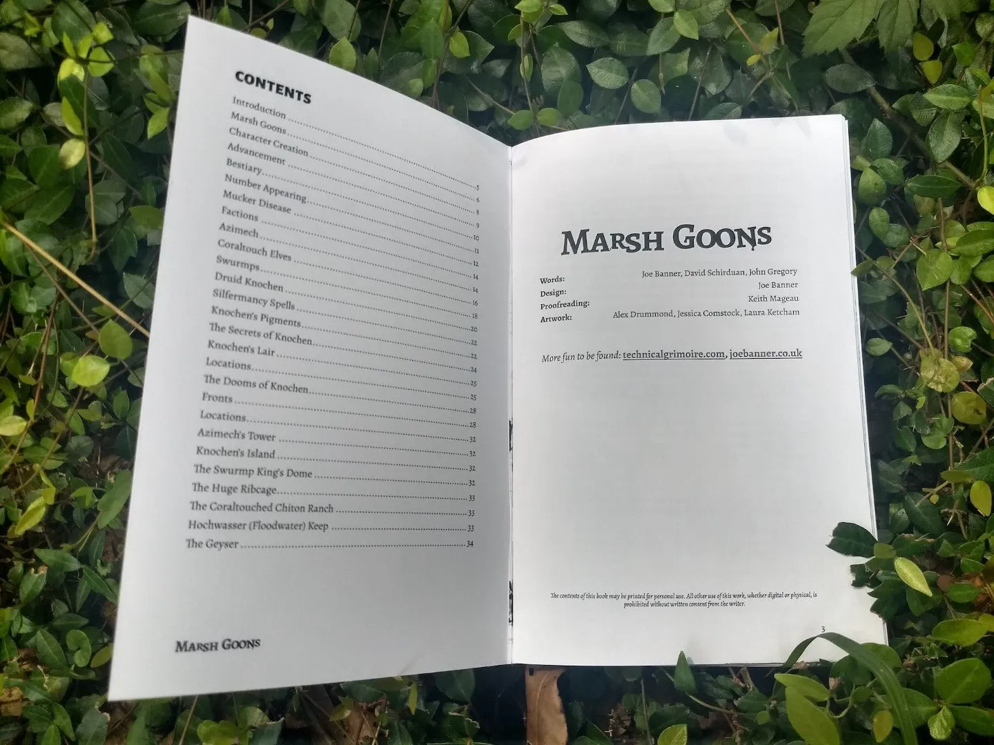 Marsh Goons   PDF