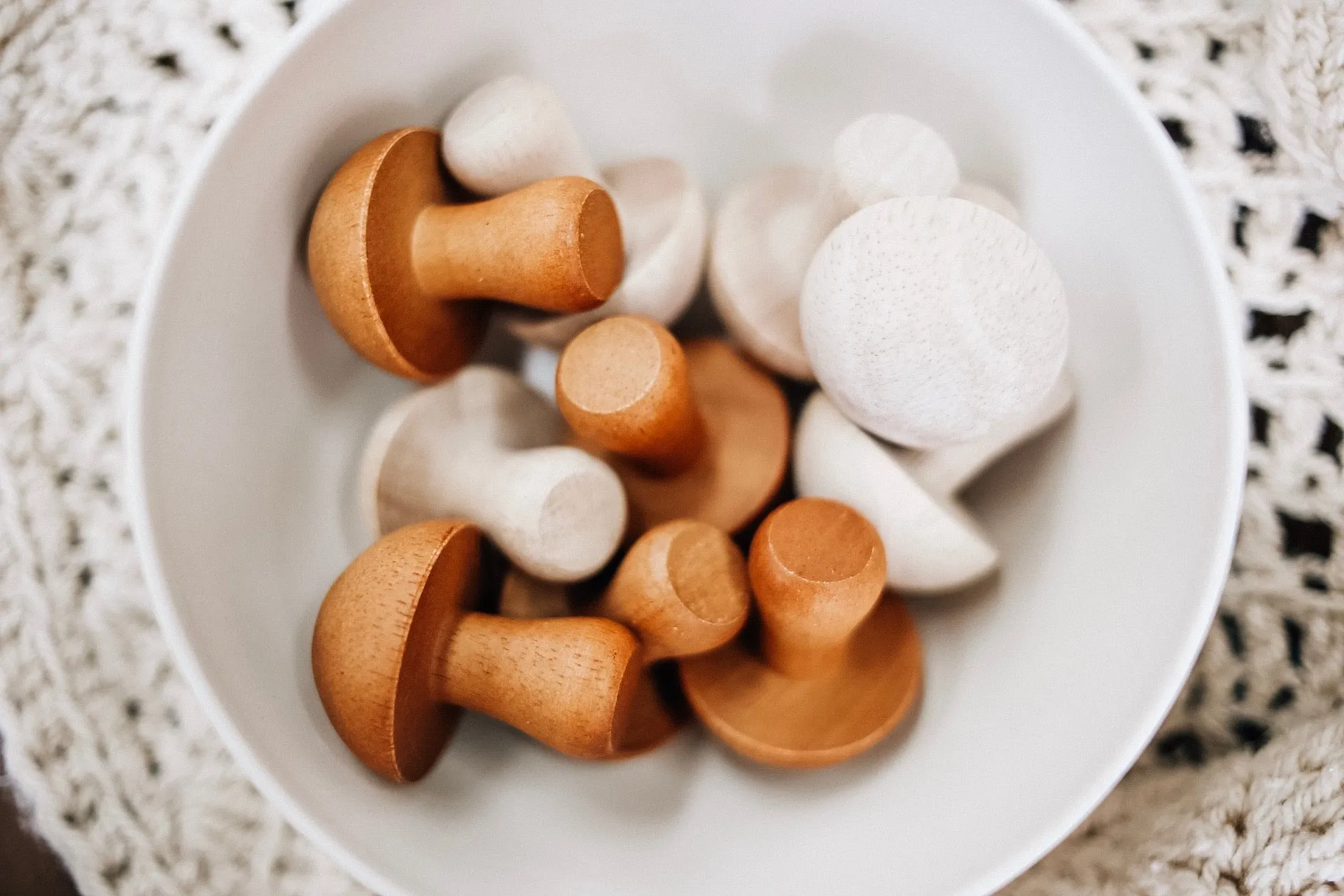 Mushroom set of 10 (natural)