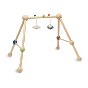 Play Gym - Orchard