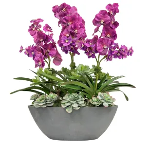 Vanda Orchid in Oval Planter 30.5"